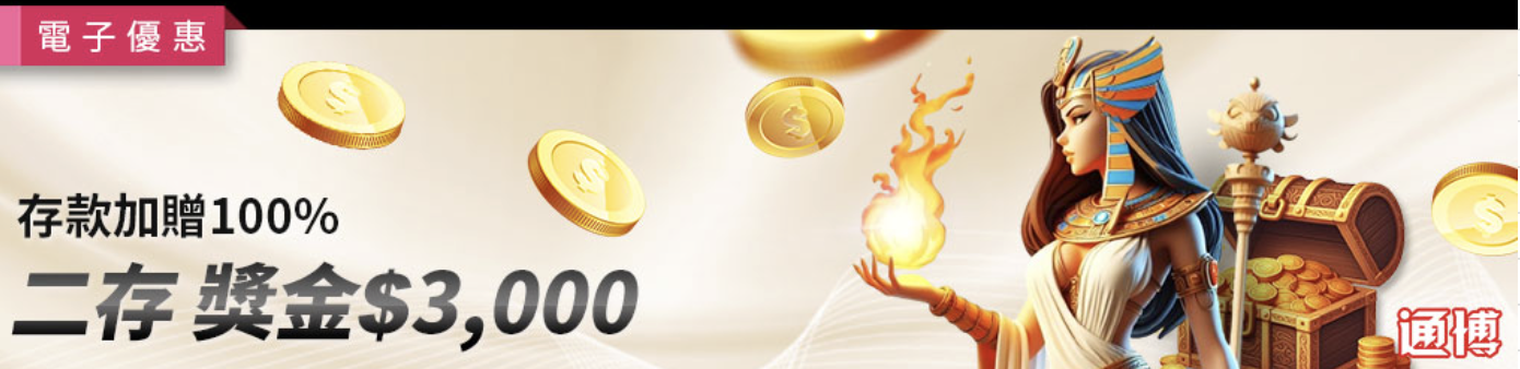 電子限定二存100%